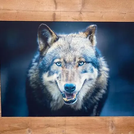 Sempre Mes בקתה *